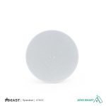 اسپیکر iEast مدل iCS65C